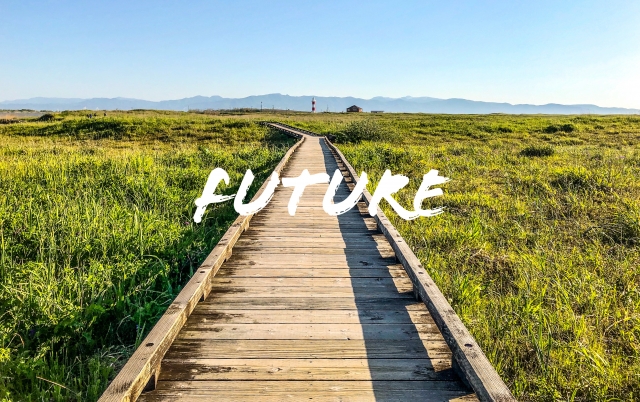 未来